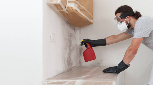 Professional Mold Inspection And Testing technician working in Chester, NJ